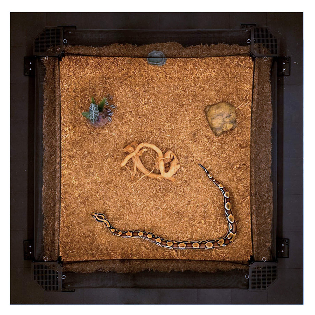 SlitherStation™ LaunchPad - 5' x 5'